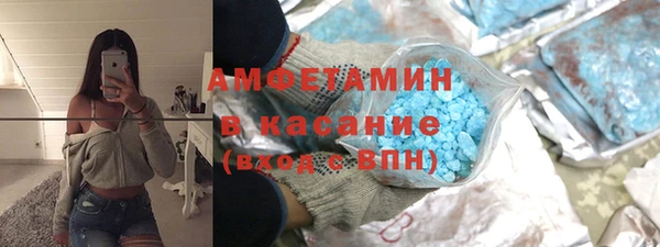 индика Надым