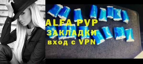 индика Надым