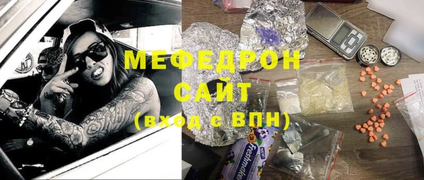 индика Надым