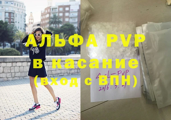 индика Надым