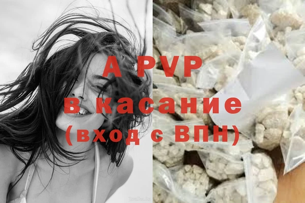 индика Надым