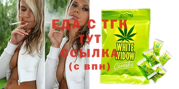 индика Надым