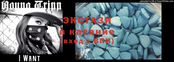 индика Надым