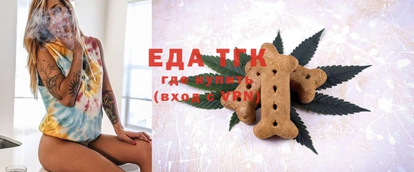 индика Надым