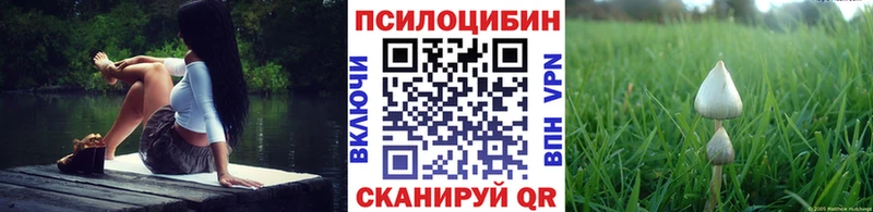 ссылка на мегу ссылка Ак-Довурак Галлюциногенные грибы Cubensis где продают