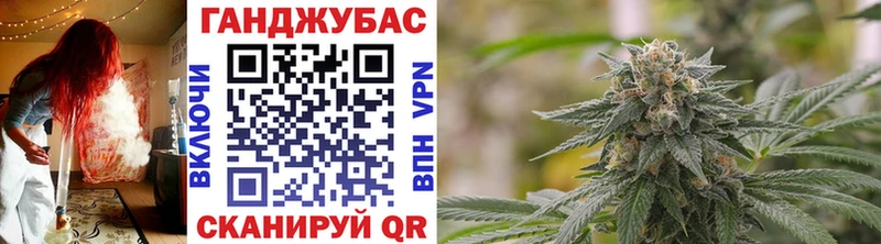 Шишки марихуана сатива Ак-Довурак